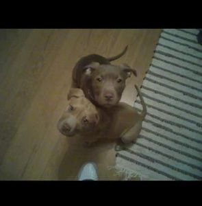 Meet your Posher, Stephen